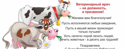 Поздравление с днем ветеринара в картинках