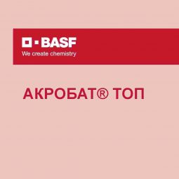 Акробат Топ, ВДГ