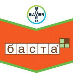 Баста, ВР
