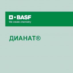Дианат, ВР