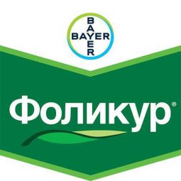 Фоликур, кэ