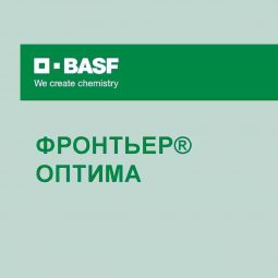 Фронтьер Оптима, КЭ