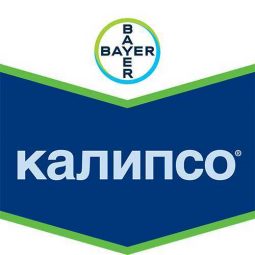 Калипсо, кс