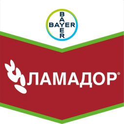 Ламадор, кс