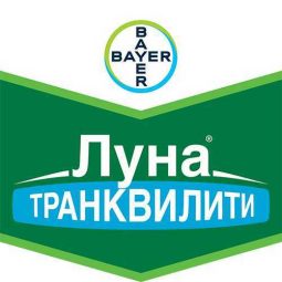 Луна Транквилити, кс
