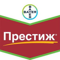 Престиж, кс