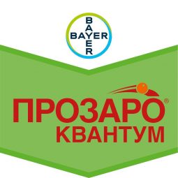 Прозаро Квантум, кэ