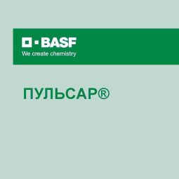 Пульсар, ВР
