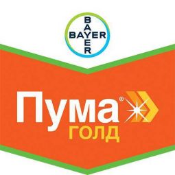 Пума Голд, кэ