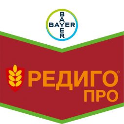 Редиго Про, кс