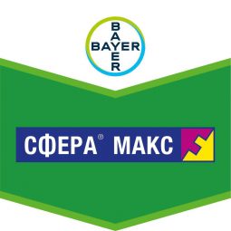 Сфера макс, кс