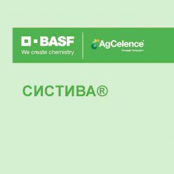Систива, КС