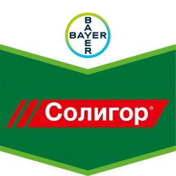 Солигор, кэ