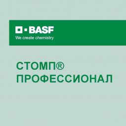 Стомп Профессионал, МКС