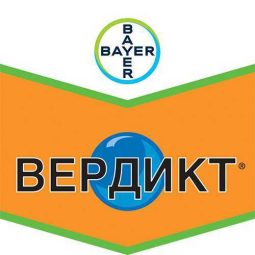 Вердикт, ВДГ