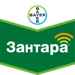 Зантара, кэ